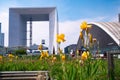 Static shot of blooming flower at La Defense business district in Paris with skyscrapers defocused on the background