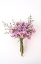 Statice flower bouquet on white