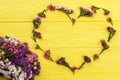 Statice limonium flowers forming heart shape.