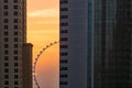 he stationary Ain Dubai silhouette between residential tower blocks a