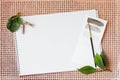 Stationery flatlay, with a natural feel, coral background