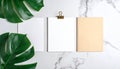 Stationery and green leaves on marble surface flat lay composition marble background Royalty Free Stock Photo