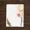 Stationery Paper with Pretty Dried Roses in Cream and pink with leaves. The page is white and on rustick dark wood boards backgro