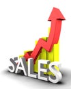 Statistics graphic with sales word Royalty Free Stock Photo