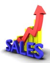 Statistics graphic with sales word Royalty Free Stock Photo