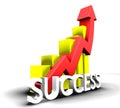 Statistics graphic with success word Royalty Free Stock Photo