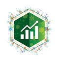 Statistics icon floral plants pattern green hexagon button Royalty Free Stock Photo