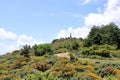 Statua San Michele on top of sardinian mountain landscape near Biddamanna IstrisÃ ili Villagrande Strisaili Arzana, Italy