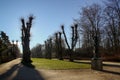 SÃÂ¸ndermarken Park in winter, Copenhagen, Denmark. Royalty Free Stock Photo