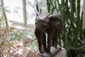 Statue African Elephant At The Artis Zoo At Amsterdam The Netherlands 24-3-2023