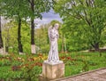 Statue of angel in beautiful garden with flowers Royalty Free Stock Photo