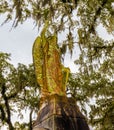 Statue of Angel Under Moss Covered Oak Trees at Bonaventure Cemetery