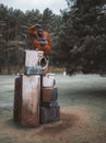 Statue of an ape on the pile of broken tv and washing machine in the park