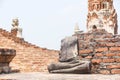 Statue of Ayutthaya Buddha Statue