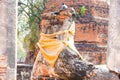 Statue of Ayutthaya Buddha Statue