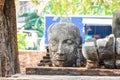 Statue of Ayutthaya Buddha Statue