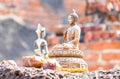 Statue of Ayutthaya Buddha Statue