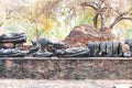 Statue of Ayutthaya Buddha Statue