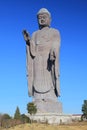 A statue of big Buddha in Ushiku