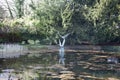 A statue of birds flying in the grounds of Le Manoir aux Quat Saisons in Oxfordshire in the UK Royalty Free Stock Photo