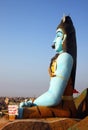 Statue of Shiva Hindu temple, India