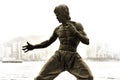 The Statue of Bruce Lee