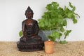 Statue of buddha, candle, reed mat and coriander plant Royalty Free Stock Photo