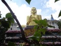Statue of buddha dambulla in Sri Lanka