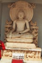 Statue of buddha at dhauli temple Royalty Free Stock Photo