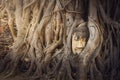 Statue of Buddha head hidden in the tree roots at Wat Maha That Ayutthaya of Thailand., Monastery historical park Ayutthaya., Royalty Free Stock Photo