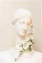 Statue bust aphrodite plaster sculpture art flowering Royalty Free Stock Photo