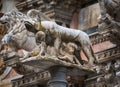 Statue of capitoline wolf breastfeeding Romulus and Remus on the column in front of the gothic Duomo di Siena