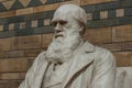 Statue of Charles Darwin Royalty Free Stock Photo