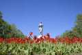 Statue of a collective farmer on a pedestal. The legacy of the Soviet era. A flower bed with tulips and young trees in