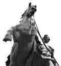 Statue of the conquest of a horse on the Anichkov Bridge.
