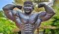 Statue of Datuk wira Dr. Gan Boon Leong father of bodybuilders in Malaysia, Melaka