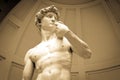 Statue of David Royalty Free Stock Photo