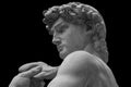 The statue of David by italian artist Michelangelo Royalty Free Stock Photo