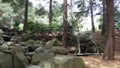 Statue of a deer in the woods near the rocks and the Creek. Aivazovsky Park