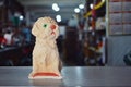 statue dog on the table with blurred background Royalty Free Stock Photo