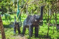 Statue of an elephant made from recycled bottles medical