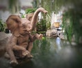 Statue elephant sitting at the mall. Royalty Free Stock Photo