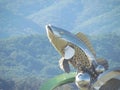 The Statue of fish in middle of Soyanggang or soyang river with blue sky