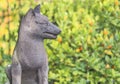 Statue of foxes inari, deity of rice in the Shinto shrine of Mejiro Toyosaka Inari Jinja in Tokyo