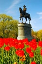 General Washington in the Tulips