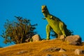 Statue of a giant green dinosaur. Prehistoric animal models, sculptures in the valley Of the national Park in Baconao, Cuba.