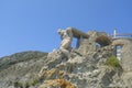 statue of the Giant Il Gigante of Arrigo Minerbi in Monterosso, Liguria, Italy Royalty Free Stock Photo