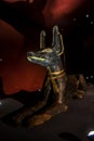A statue of the god Anubis at the Alexandria Museum in Egypt. Royalty Free Stock Photo