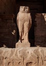 The Statue of God Horus Ancyent Egypt Civilisation Royalty Free Stock Photo