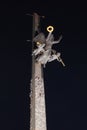 Statue of goddess of victory Nike and two angels at the top of Victory Monument. Victory park on Poklonnaya gora Royalty Free Stock Photo